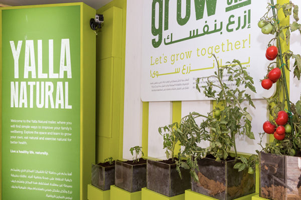 Qatar Foundation strives to promote sustainable food production
